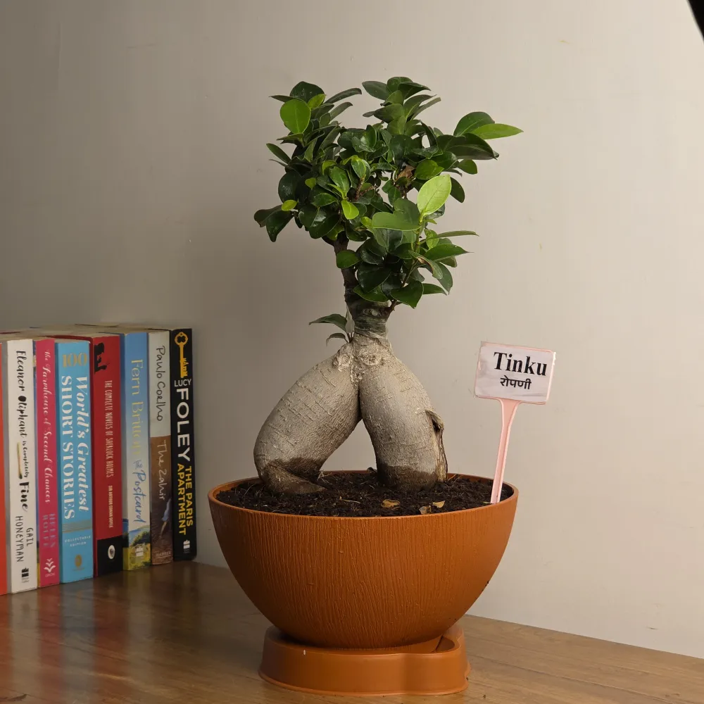 product-gallery