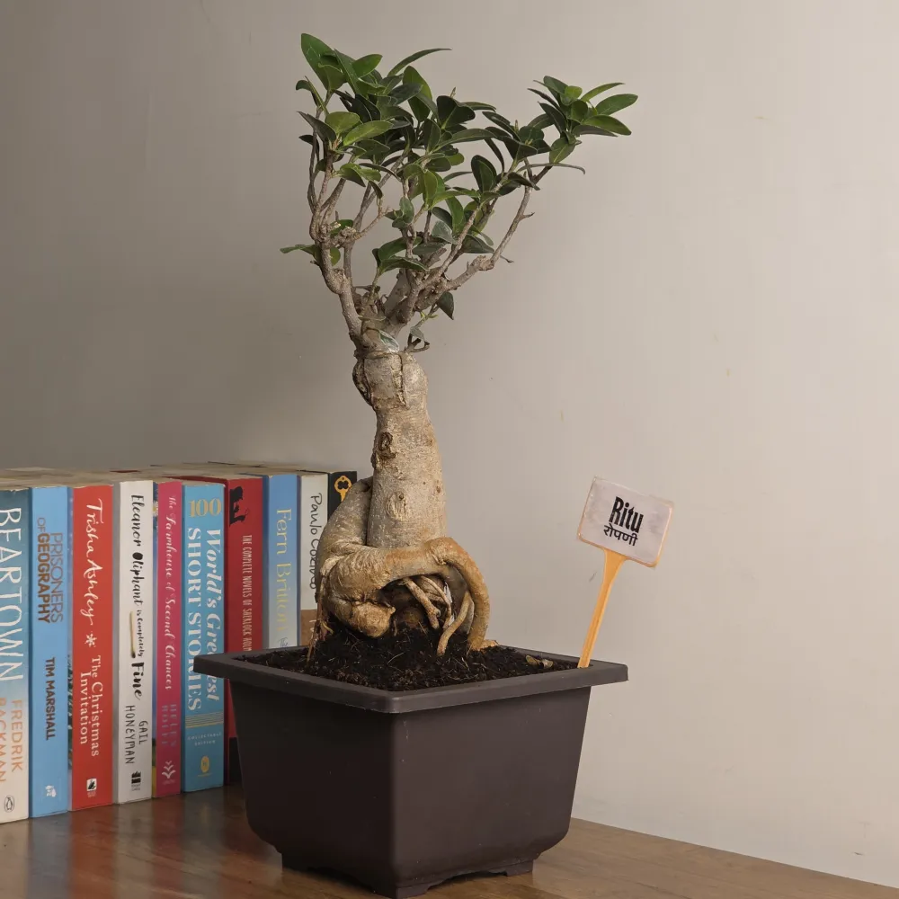 product-gallery