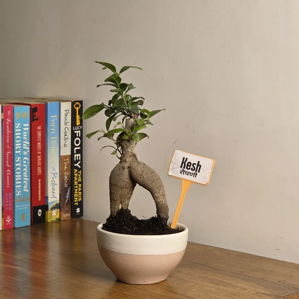 product-gallery
