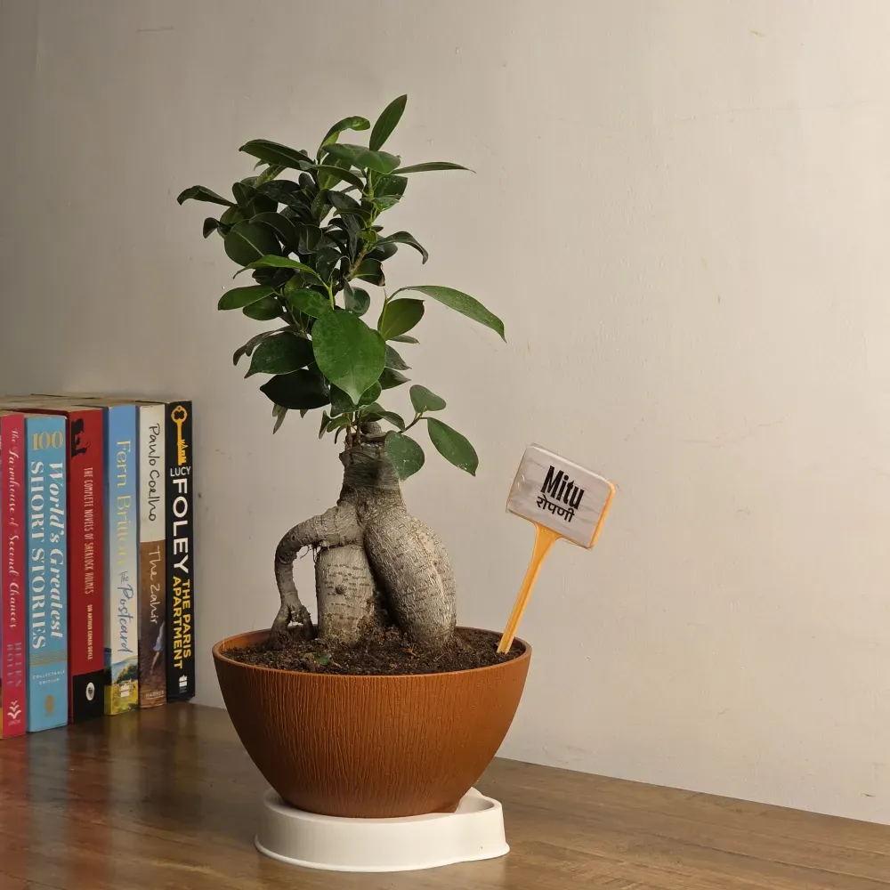 product-gallery