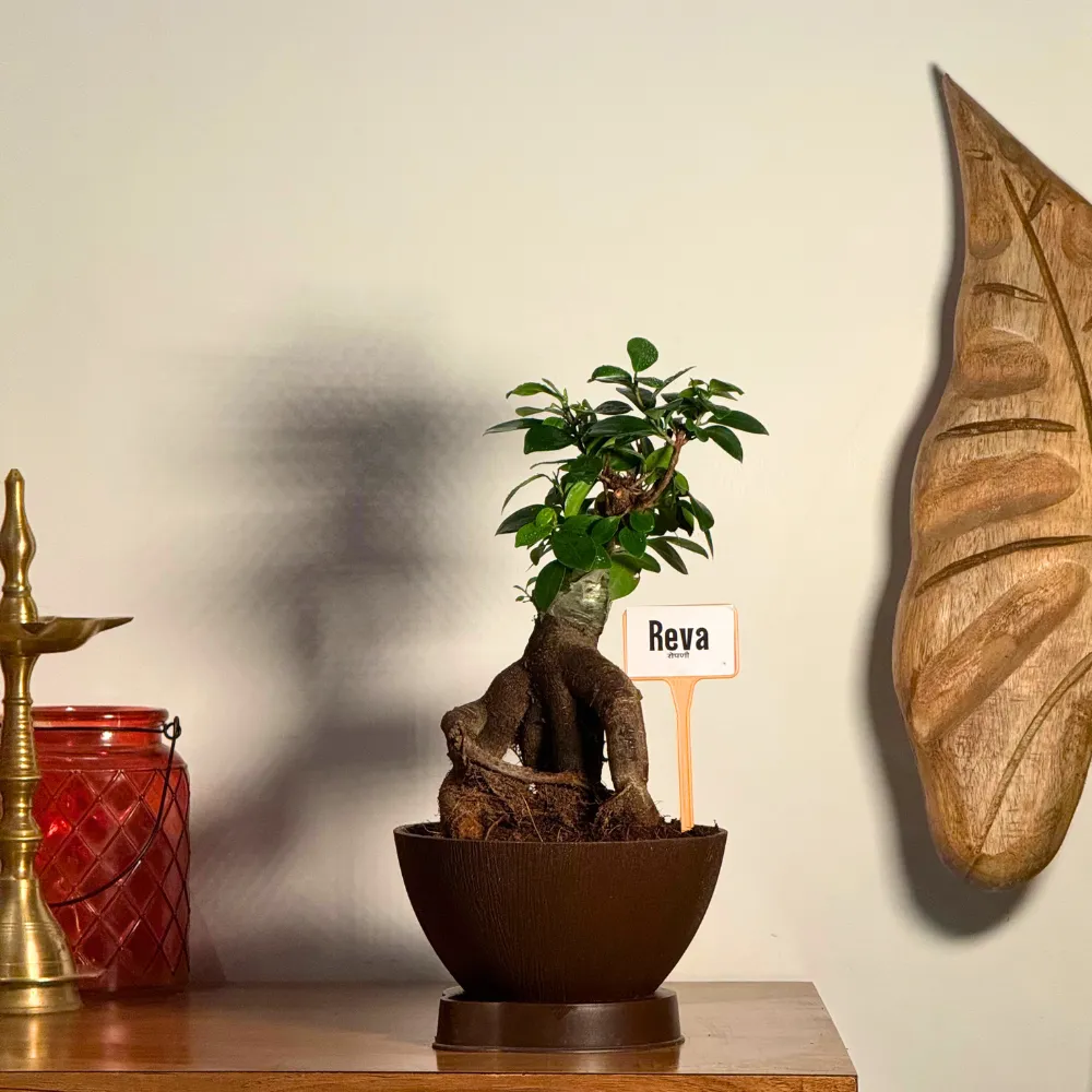 product-gallery