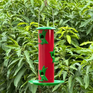 Iron  Bird Feeder