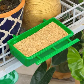 Bird Food Tray- Big