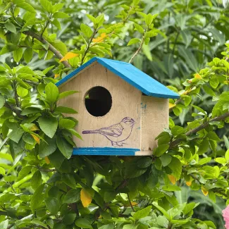 Blue Roof Bird Home