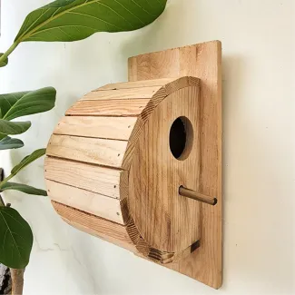 Pine Wood Bird Home