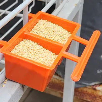 Bird Food Tray- Small