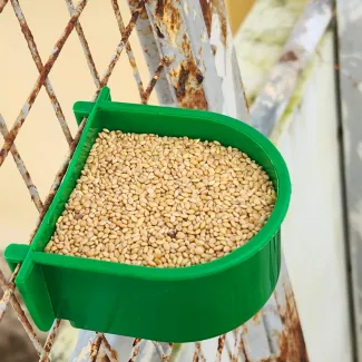 D Shaped Small Food Feeder