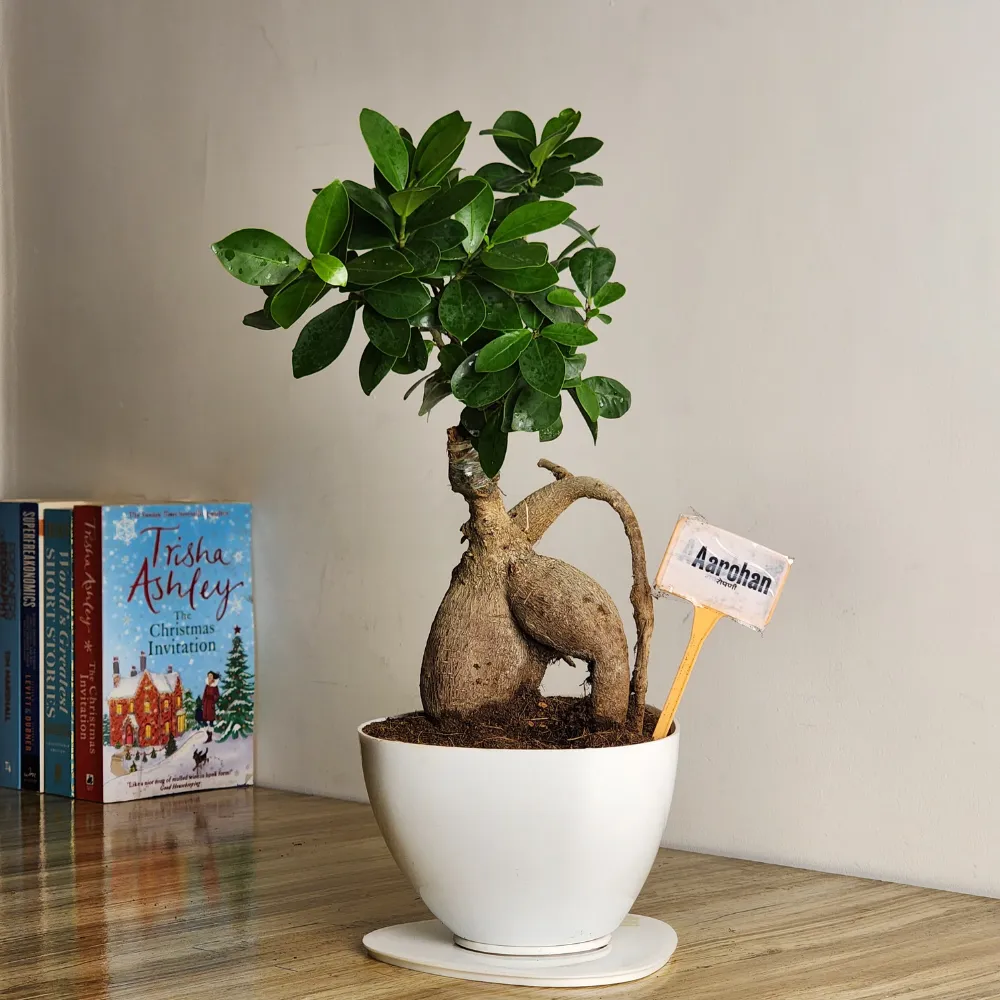 product-gallery
