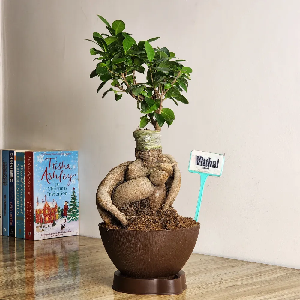 product-gallery