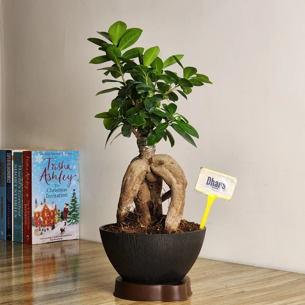 product-gallery