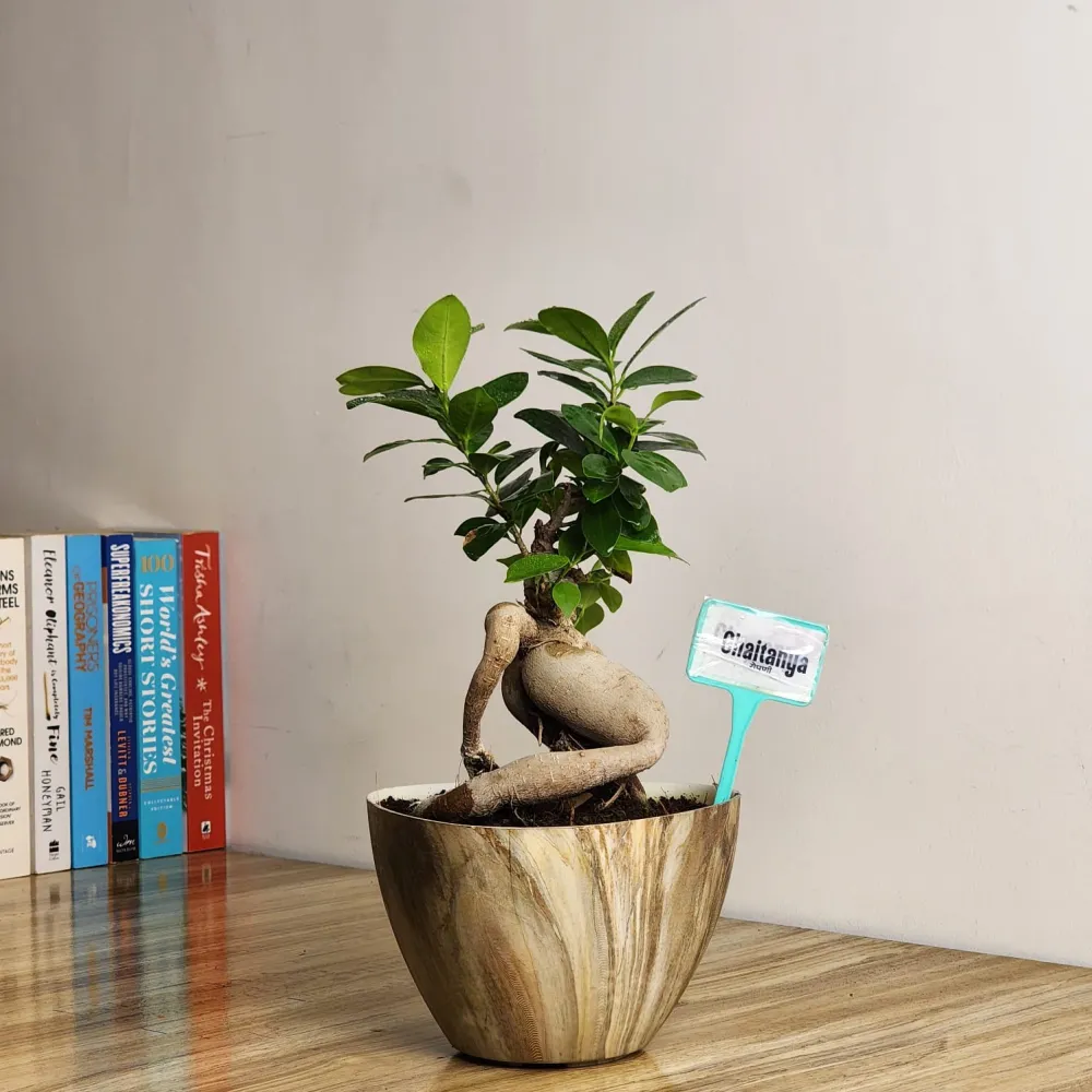 product-gallery