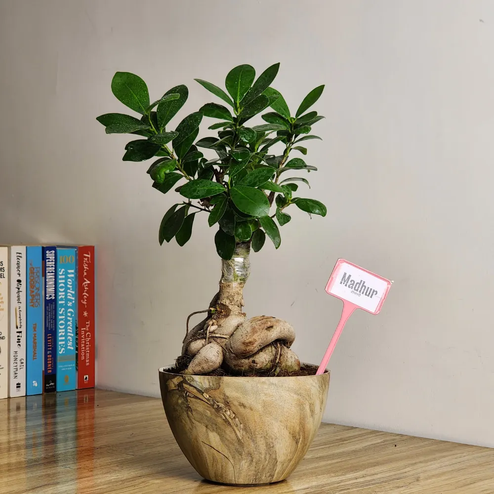 product-gallery