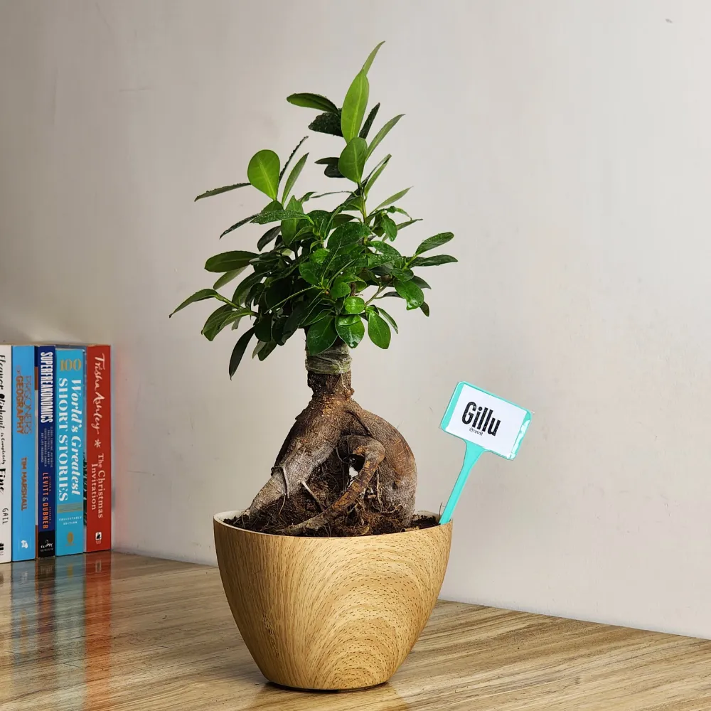 product-gallery