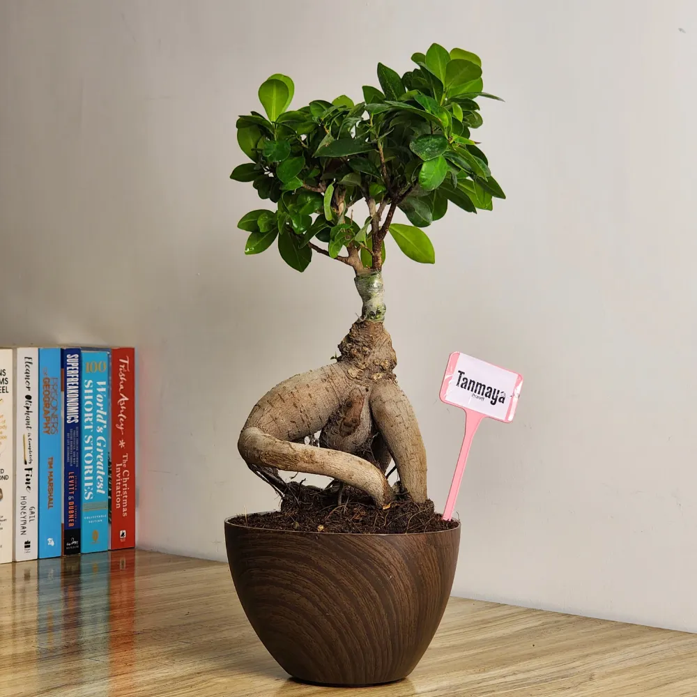 product-gallery