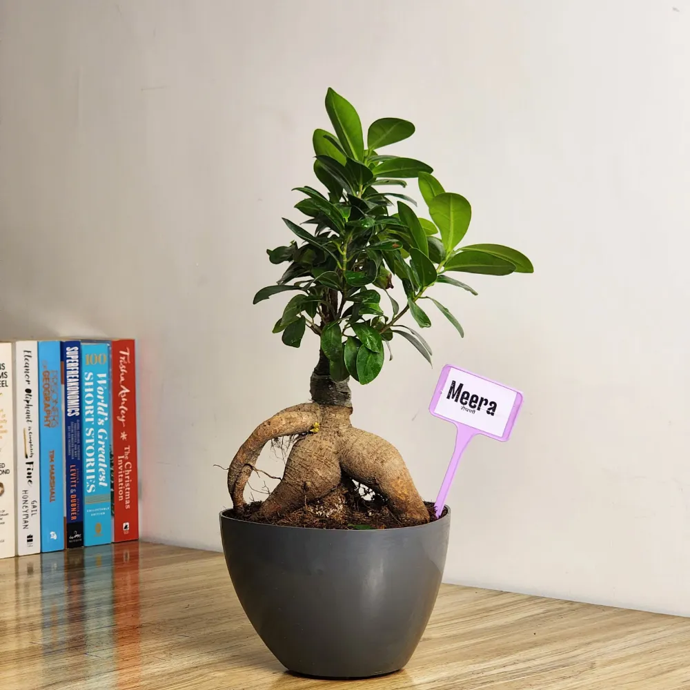 product-gallery
