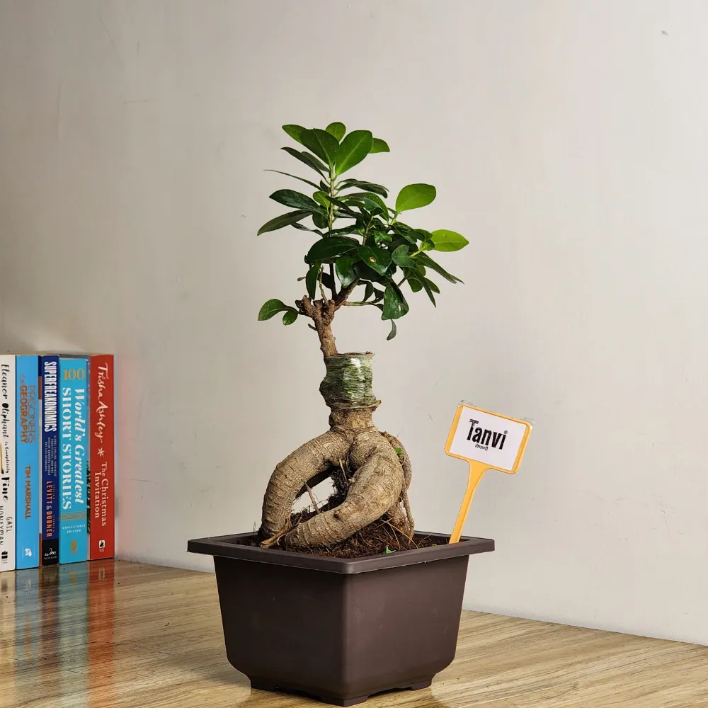 product-gallery