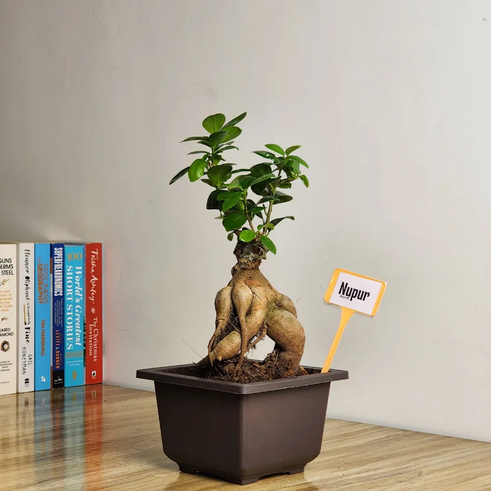 product-gallery