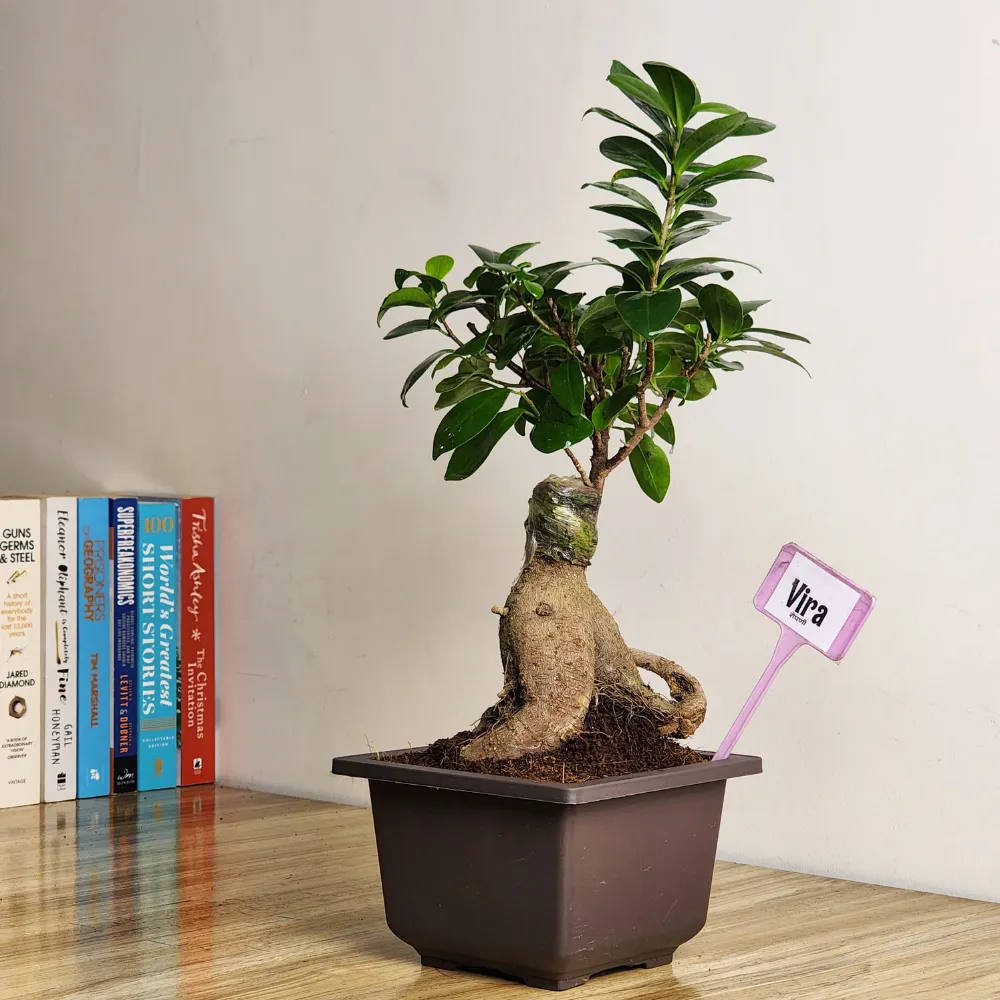 product-gallery