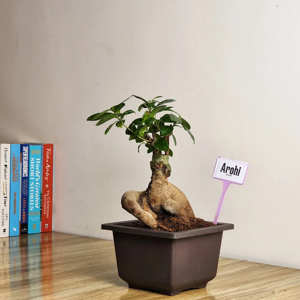 product-gallery
