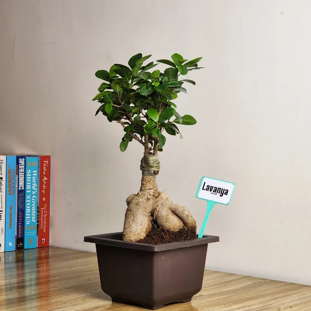 product-gallery