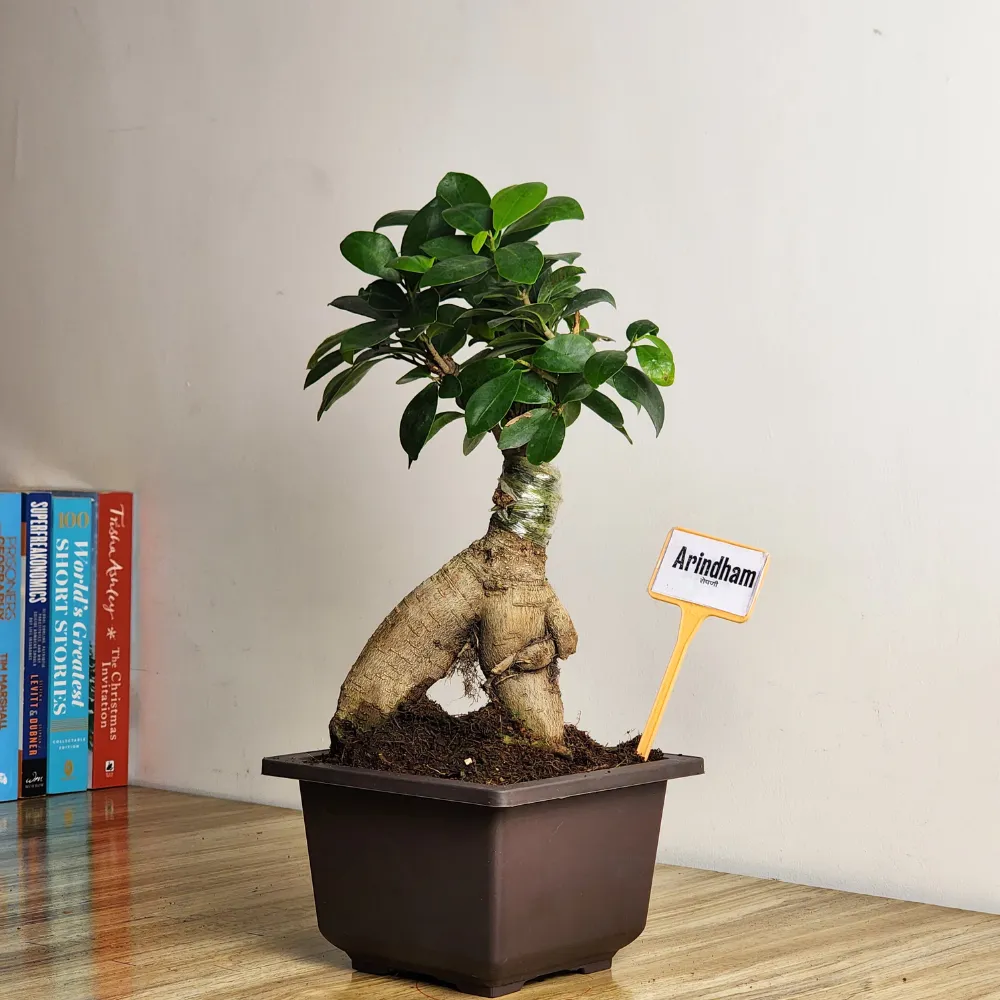 product-gallery
