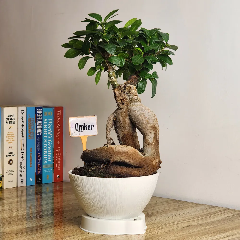 product-gallery