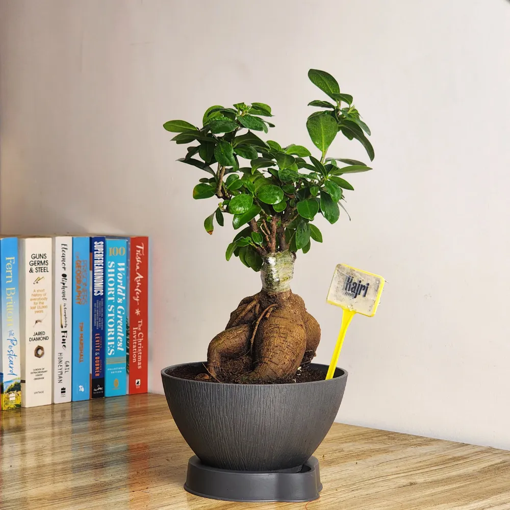 product-gallery