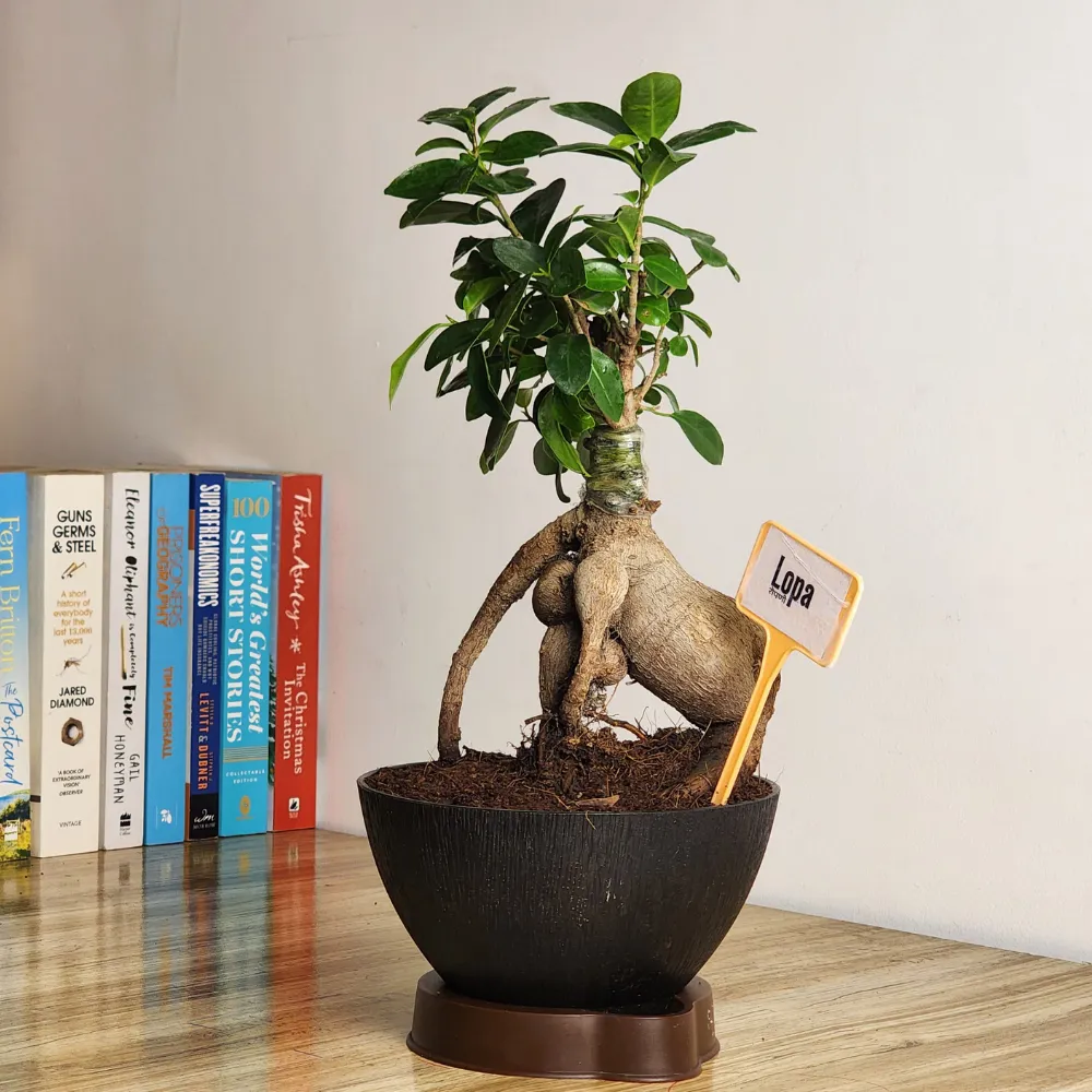 product-gallery