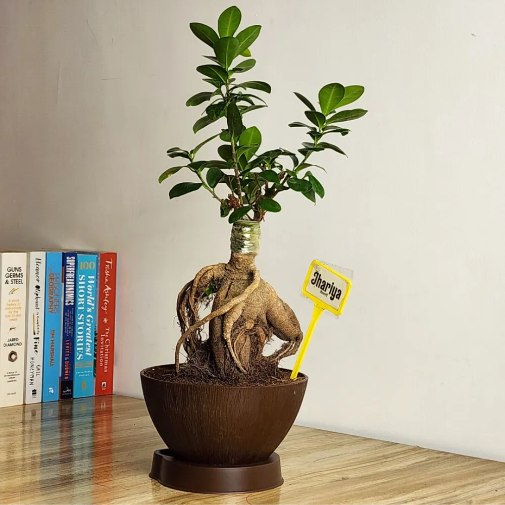 product-gallery