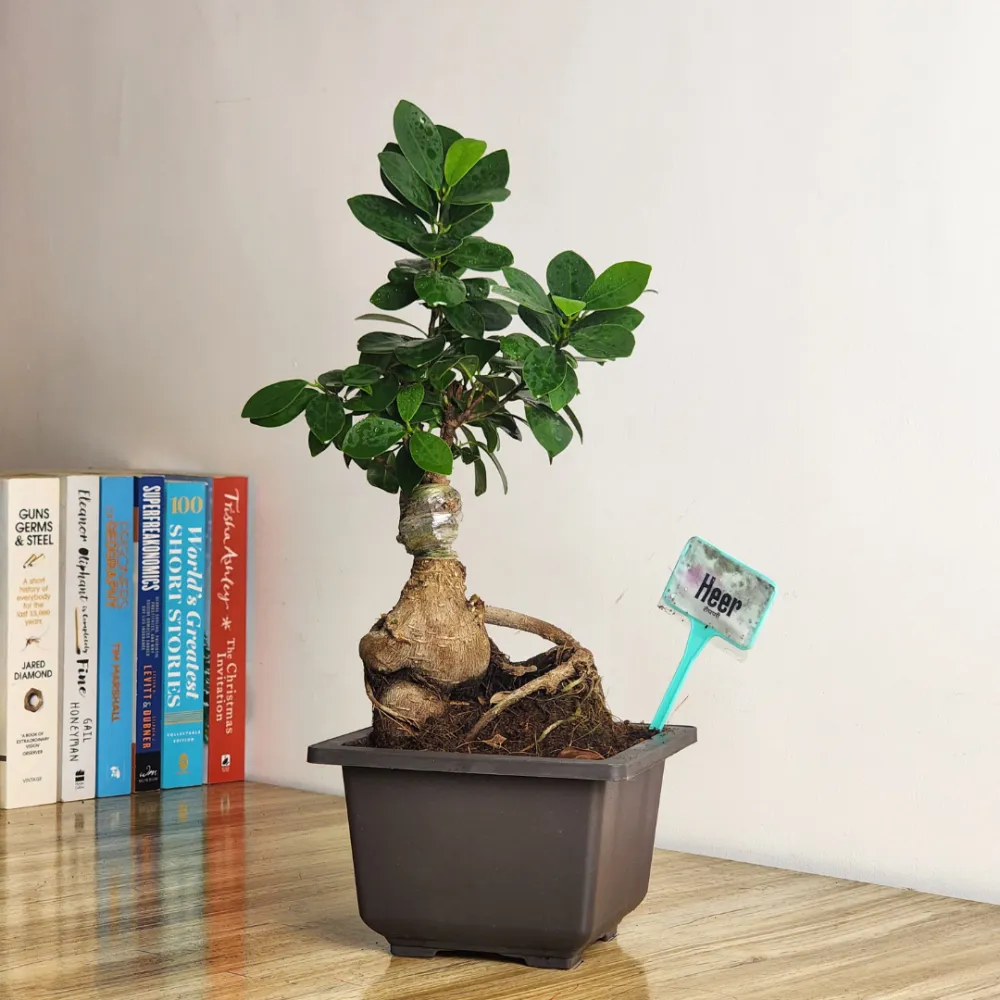 product-gallery
