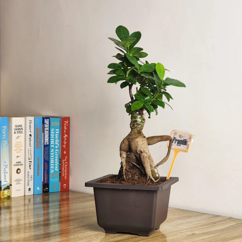 product-gallery