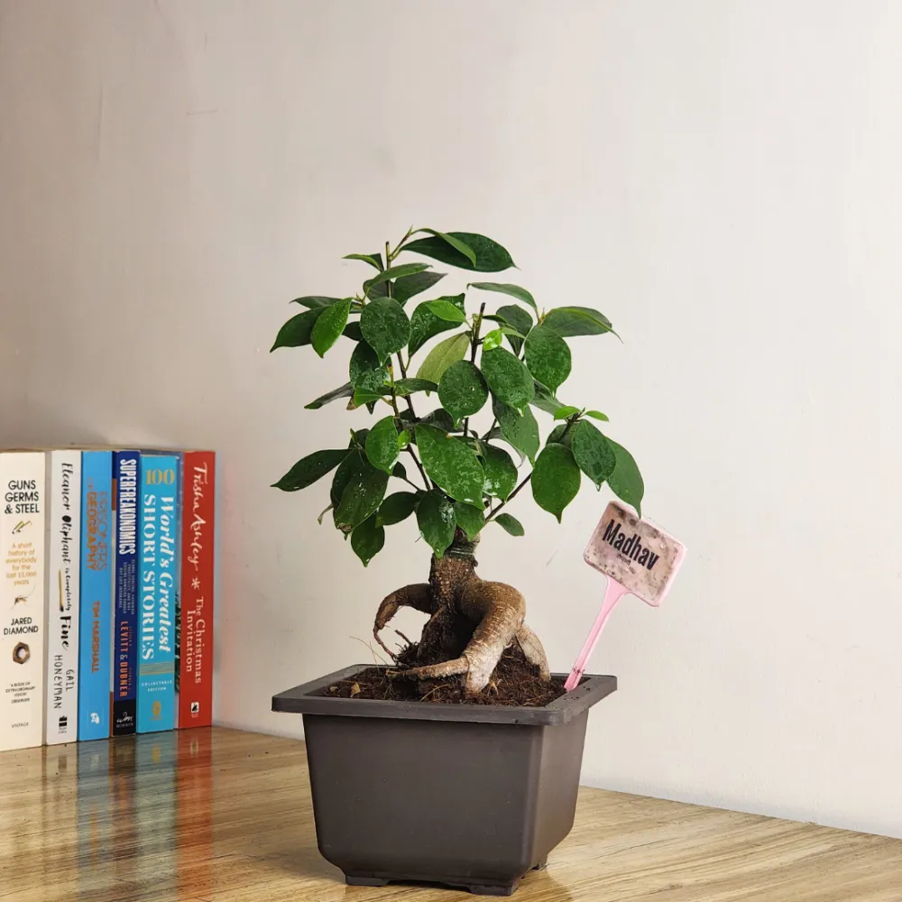 product-gallery