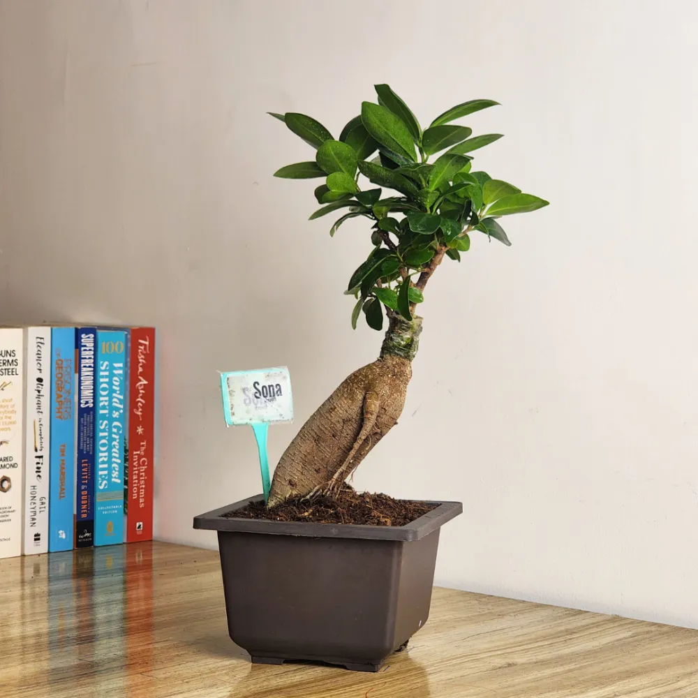 product-gallery