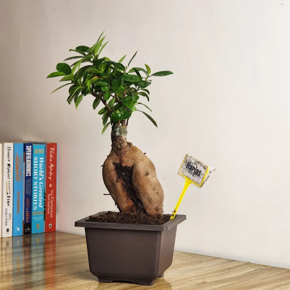 product-gallery