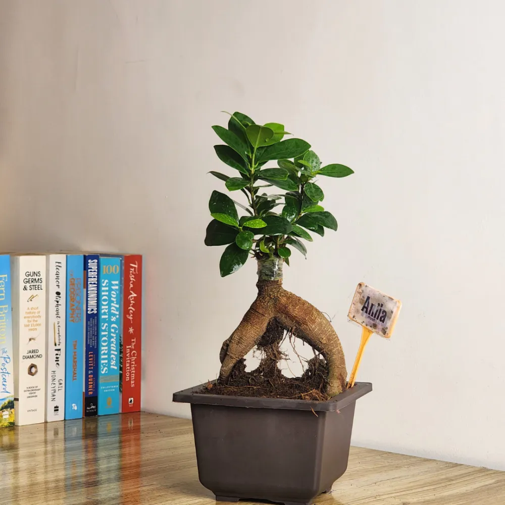 product-gallery