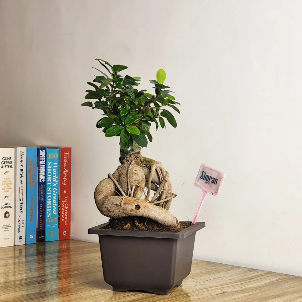 product-gallery