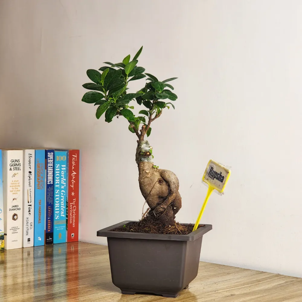 product-gallery