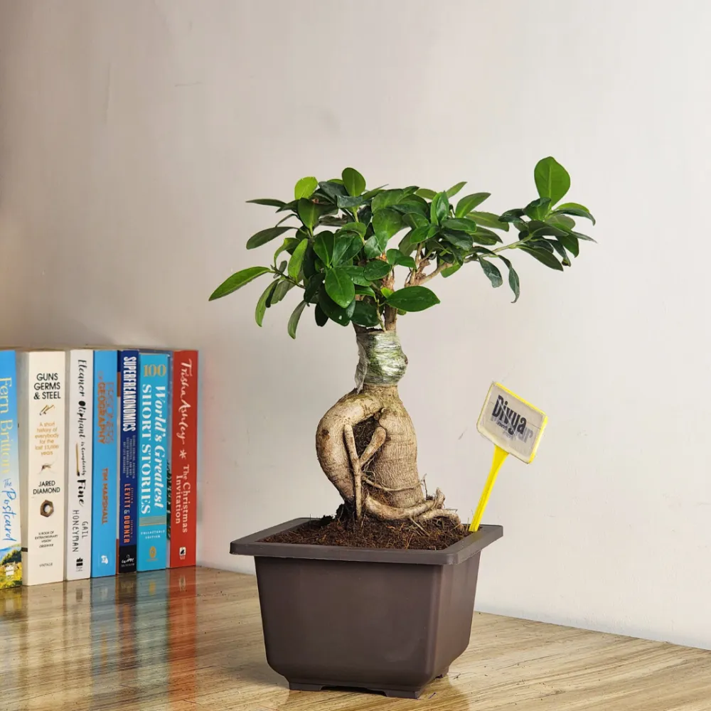 product-gallery