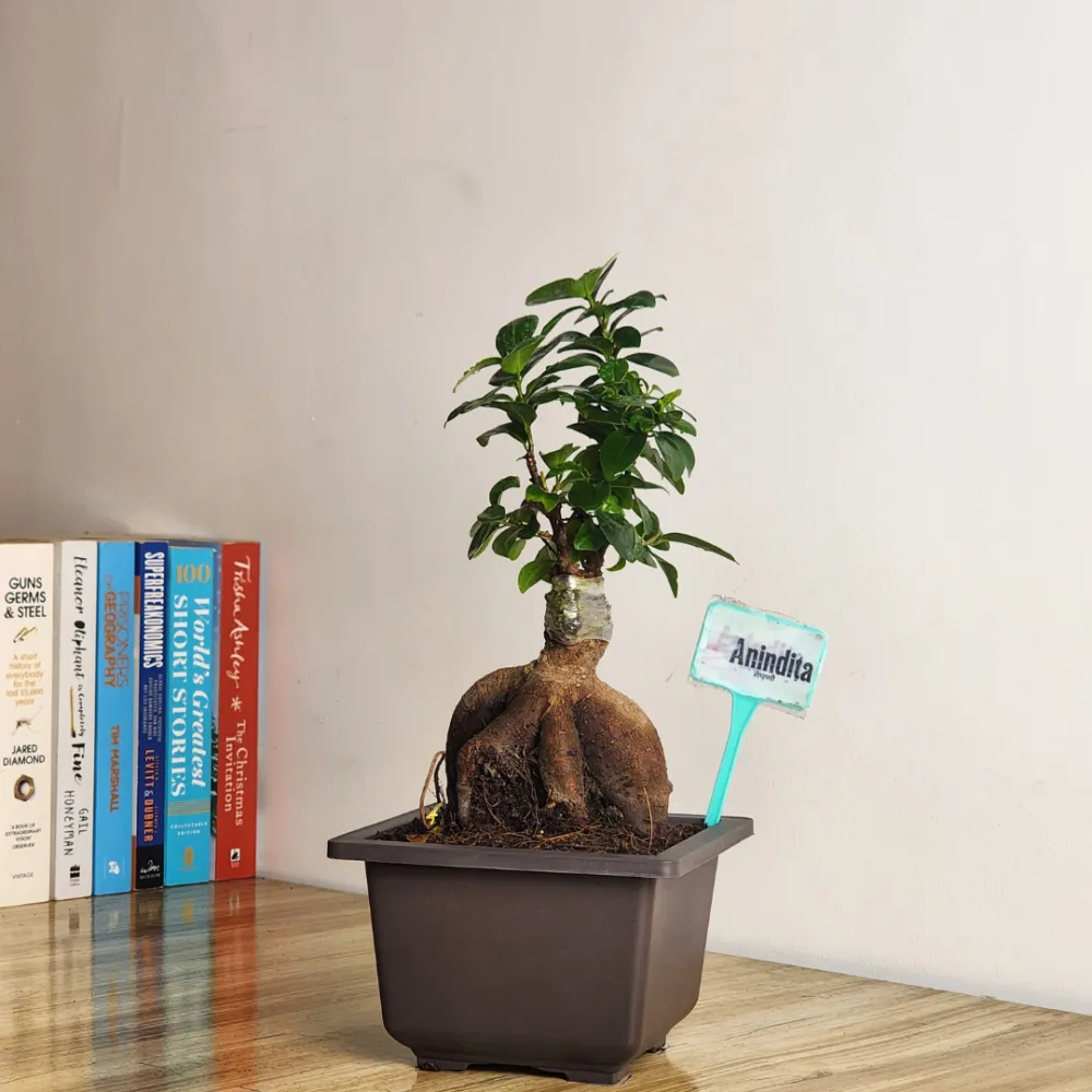 product-gallery